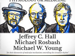 Peneliti Jam Tubuh Jadi Pemenang Nobel Kesehatan 2017