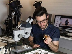 Ada Sekitar 100 Serangga Hidup di dalam Rumah Kita