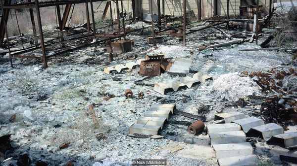 Potret Pulau Terbengkalai Sarang Bakteri Ganas, Berani ke Sini?