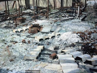 Potret Pulau Terbengkalai Sarang Bakteri Ganas, Berani ke Sini?