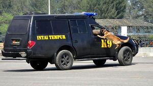 Tim K9 Taipur Kostrad Demo Pembebasan Tawanan