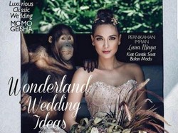 Netizen yang Juga Heboh dengan Sesi Pemotretan Luna Maya dan Orangutan