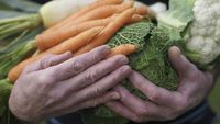 Ini Daftar Sayuran Bergizi yang Perlu Disertakan dalam Diet Anda
