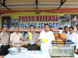 Pengepul Ribuan Benur Berhasil Ditangkap