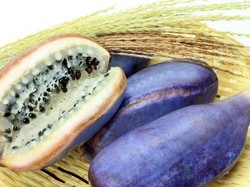Akebi, Buah Ungu dari Jepang dengan Biji Seperti Markisa