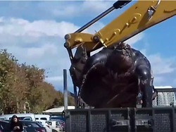 Mengejutkan! Penyu Raksasa Sepanjang 2 Meter Ditemukan di Spanyol