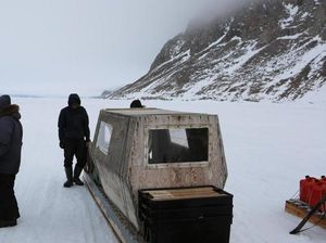 Rahasia Bertahan di Musim Dingin yang Ekstrem: Cinta