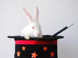 Berhenti Jadi Pesulap, Pakar Psikologi Teliti Trik Sulap dengan Ilusi Pendengaran Berhenti Jadi Pesulap, Pakar Psikologi Teliti Trik Sulap dengan Ilusi Pendengaran
