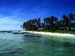 Berau Punya Spot Diving Unggulan