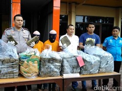 Pengiriman 80 Kg Ganja dari Aceh Digagalkan di Medan