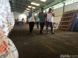 Tak Cantumkan Kandungan Kimia, Pupuk Palsu di Bondowoso Beredar