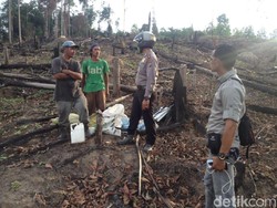 Polres Pelalawan Tangkap Pembakar Lahan Taman Nasional di Riau