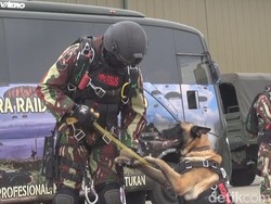 Terjun Payung Bawa Anjing, Kopassus Pecahkan Rekor Muri