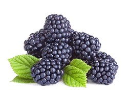 Raspberry Hitam Boleh Dilirik karena Bagus untuk Kesuburan