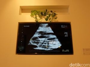 Reza Rahadian Hadirkan Ibu Pertiwi di ICAD 2017