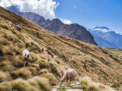 Fakta-fakta Tibet: Ternyata Bukan Negara dan Dipimpin Tokoh Agama