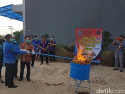 BNN Banten Musnahkan 3,2 Kg Ganja Selundupan