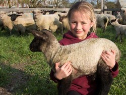 Emily, Usia 6 Tahun Sudah Jadi Peternak Domba