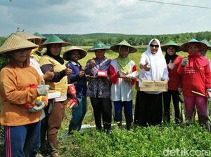 Maju Lewat PKB, Mbak Anna Pasrahkan Wakilnya ke PDIP