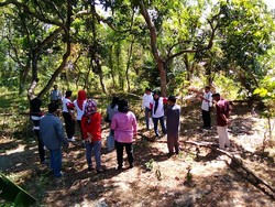 Sidang Lanjutan Anak Gugat Ibu Kandung, Hakim Cek Obyek Sengketa