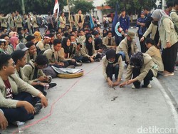 Ada Lomba Tangkap Belut dalam Aksi Tuntut Setnov Mundur