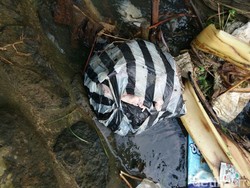 Mayat Bayi Dalam Kresek Ditemukan di Saluran Irigasi di Purworejo