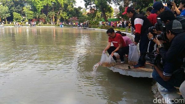 Foto: Gubernur Djarot Lepas 50 Ribu Benih Ikan di Taman Situ Lembang