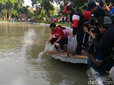Foto: Gubernur Djarot Lepas 50 Ribu Benih Ikan di Taman Situ Lembang