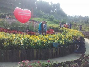 Ini Kebun yang Hits di Purbalingga