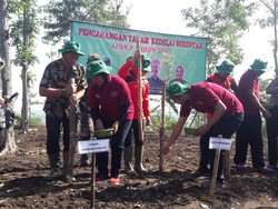 Gerakan Tanam Kedelai Digelar Serentak di 20 Provinsi
