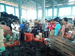 Bea Cukai Dumai Gagalkan Penyelundupan 96 Ekor Trenggiling