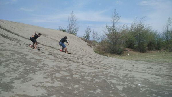 Foto: Main Sandboarding di Gumuk Pasir Parangkusumo, Sudah Coba?