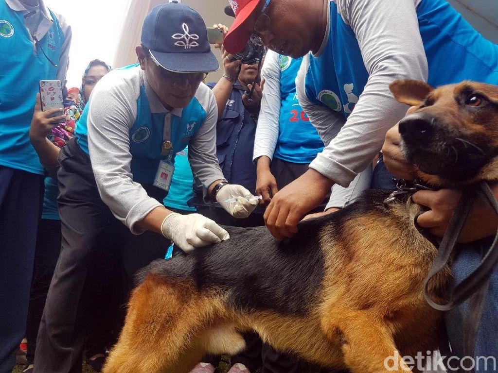 Dirjen PKH Peringati World Rabies Day di Sukabumi
