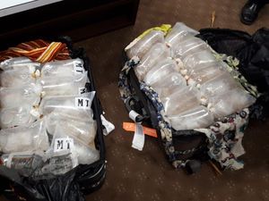 Ribuan Bibit Lobster Rp 64 M Diamankan di Bandara Cengkareng Ribuan Bibit Lobster Rp 64 M Diamankan di Bandara Cengkareng