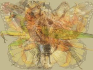 Tes Kepribadian: Hewan Pertama yang Kamu Lihat Bisa Ungkap Sifat Aslimu