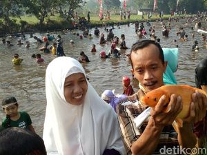 Keceriaan Tangkap Ikan Saat Panen Raya di Mojokerto