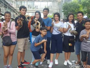 Saat Ular dan Iguana Ikut CFD di Bundaran HI