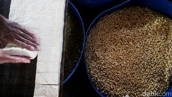 Harga Kedelai Lokal Terus Naik