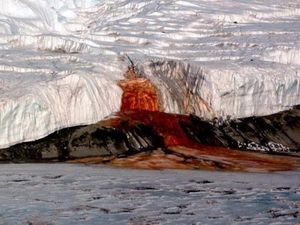 Misteri di Balik Air Terjun Berdarah di Antartika Misteri di Balik Air Terjun Berdarah di Antartika