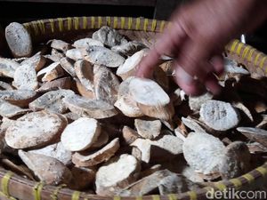 Mengolah Singkong Jadi Gaplek Harus Benar-benar bersih