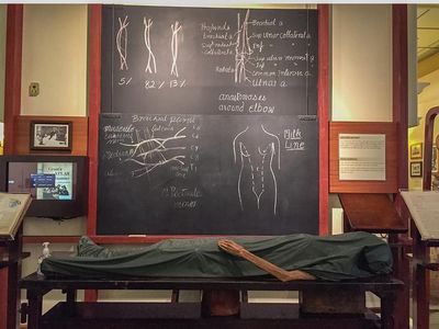 Foto: Jangan Lihat Kalau Takut, Museum Kematian di Bangkok