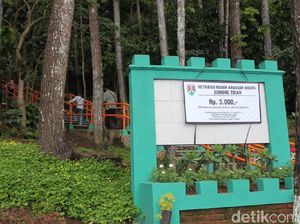 Berkunjung di Gunung Tidar Kini Tak Lagi Gratis