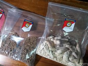 Korban Keracunaan Gaplek di Banjarnegara Bertambah