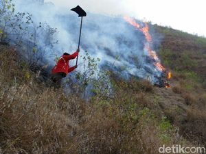 Taman Nasional Gunung Rinjani Terbakar