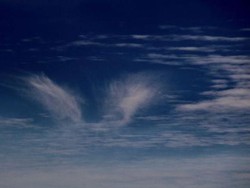 Awan Berbentuk Sayap dan Hati Terlihat di Langit Queensland
