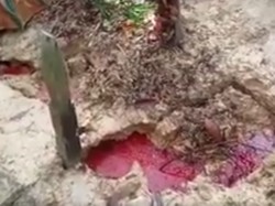 Heboh Kabar Makam Berdarah di Balikpapan, Ini Faktanya