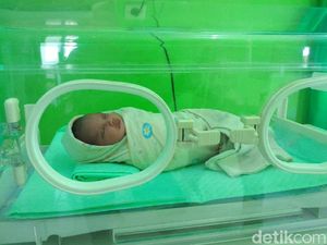 Duh, Bayi Lucu Ini Ditemukan dengan Kondisi Dikerubuti Semut