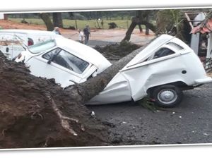 Ajaib, Sudah Tertimpa Pohon dan Ringsek, VW Kombi Masih Bisa Jalan Ajaib, Sudah Tertimpa Pohon dan Ringsek, VW Kombi Masih Bisa Jalan