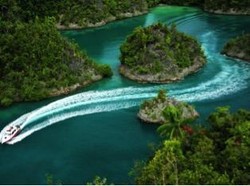 Mau Lihat Hiu Berjalan? Yuk,Ikut Festival Bahari Raja Ampat