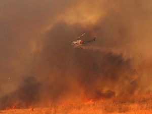 10 Orang Tewas dalam Kebakaran Hutan California, 20 Ribu Mengungsi